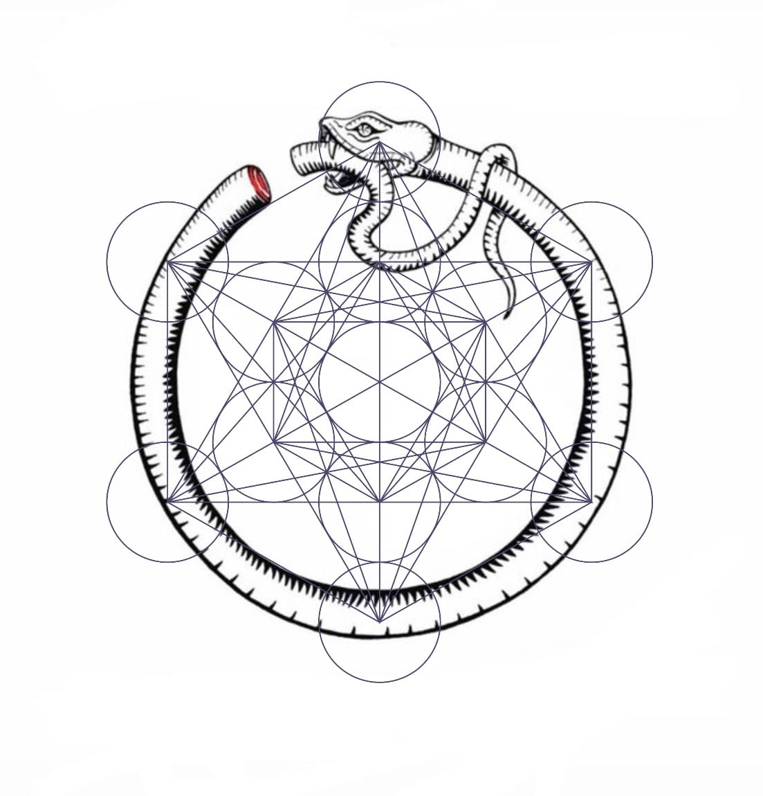 Opus Humanum